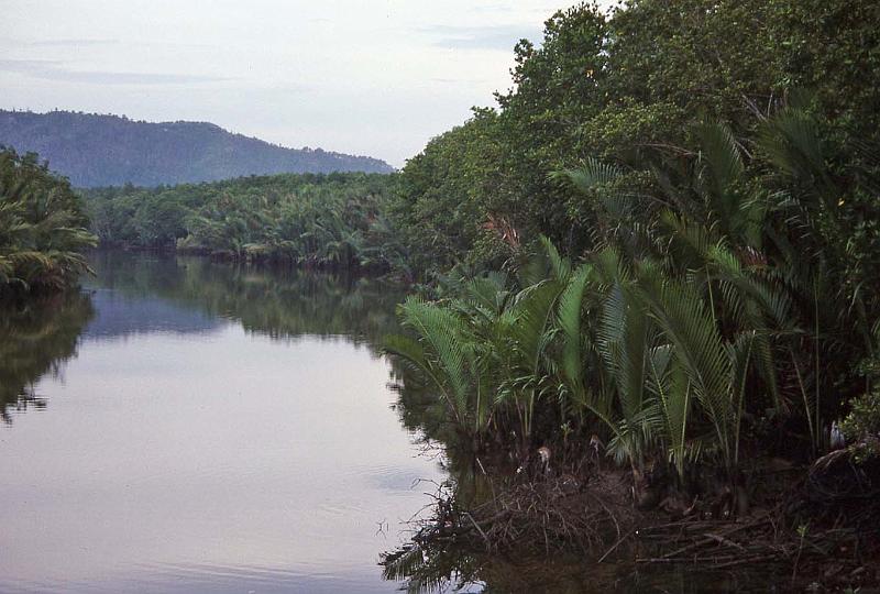 WT 0700 114-12 Malaysia.jpg